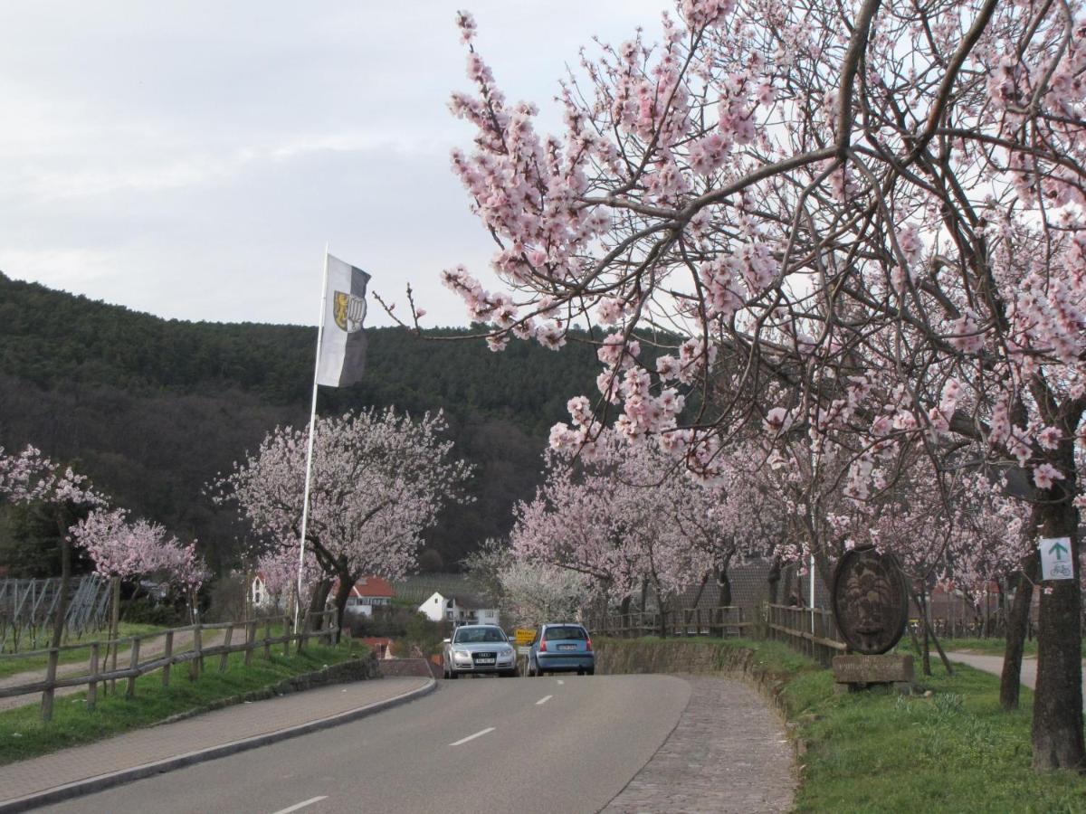 Haus Biengarten Neustadt an der Weinstraße 외부 사진